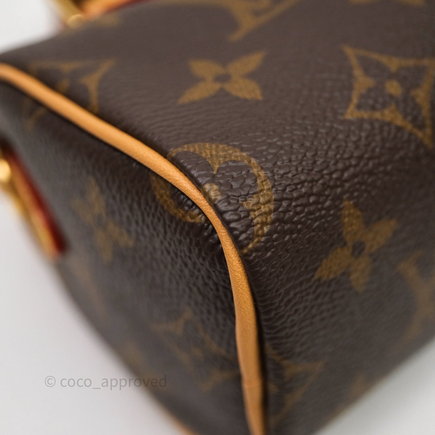 Louis Vuitton Nano Speedy Monogram
