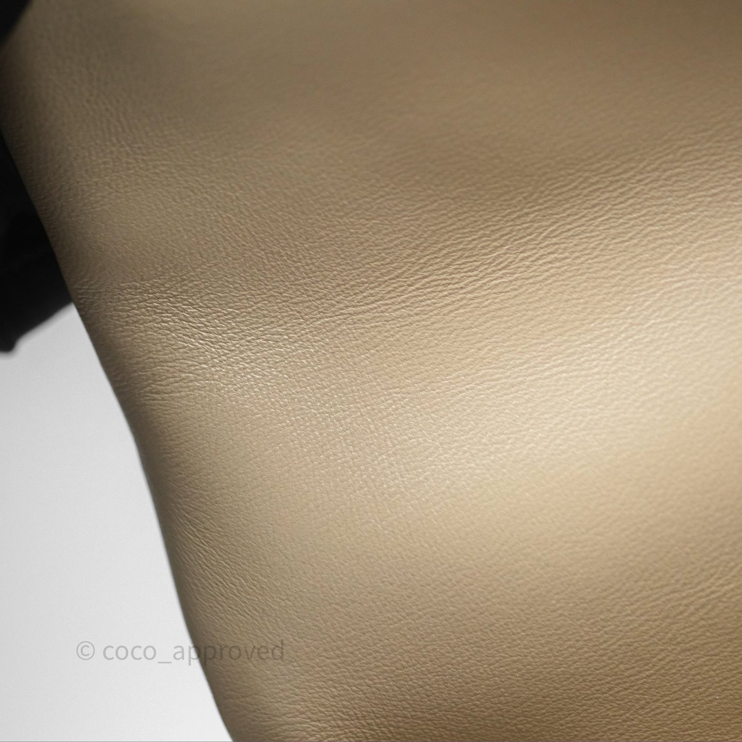 Chanel 19 Medium Beige Mixed Hardware