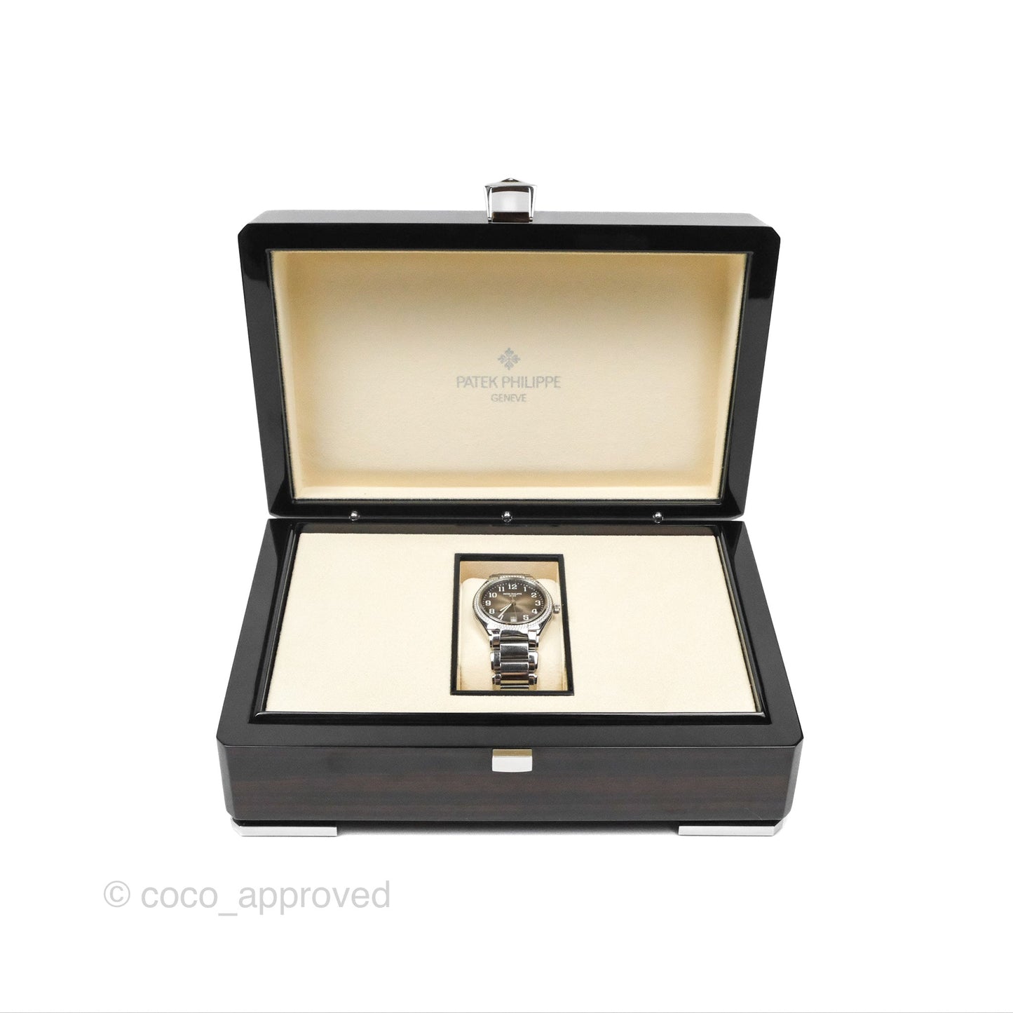 Patek Philippe TWENTY~4 7300/1200A-010 Watch Gris