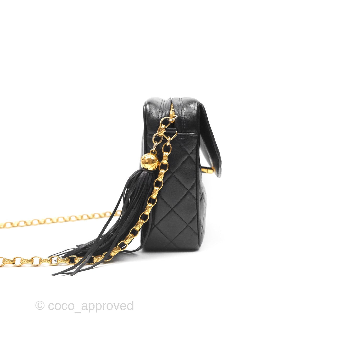 Chanel Vintage Diana Fringe Camera Bag Black Lambskin 24K Gold Hardware