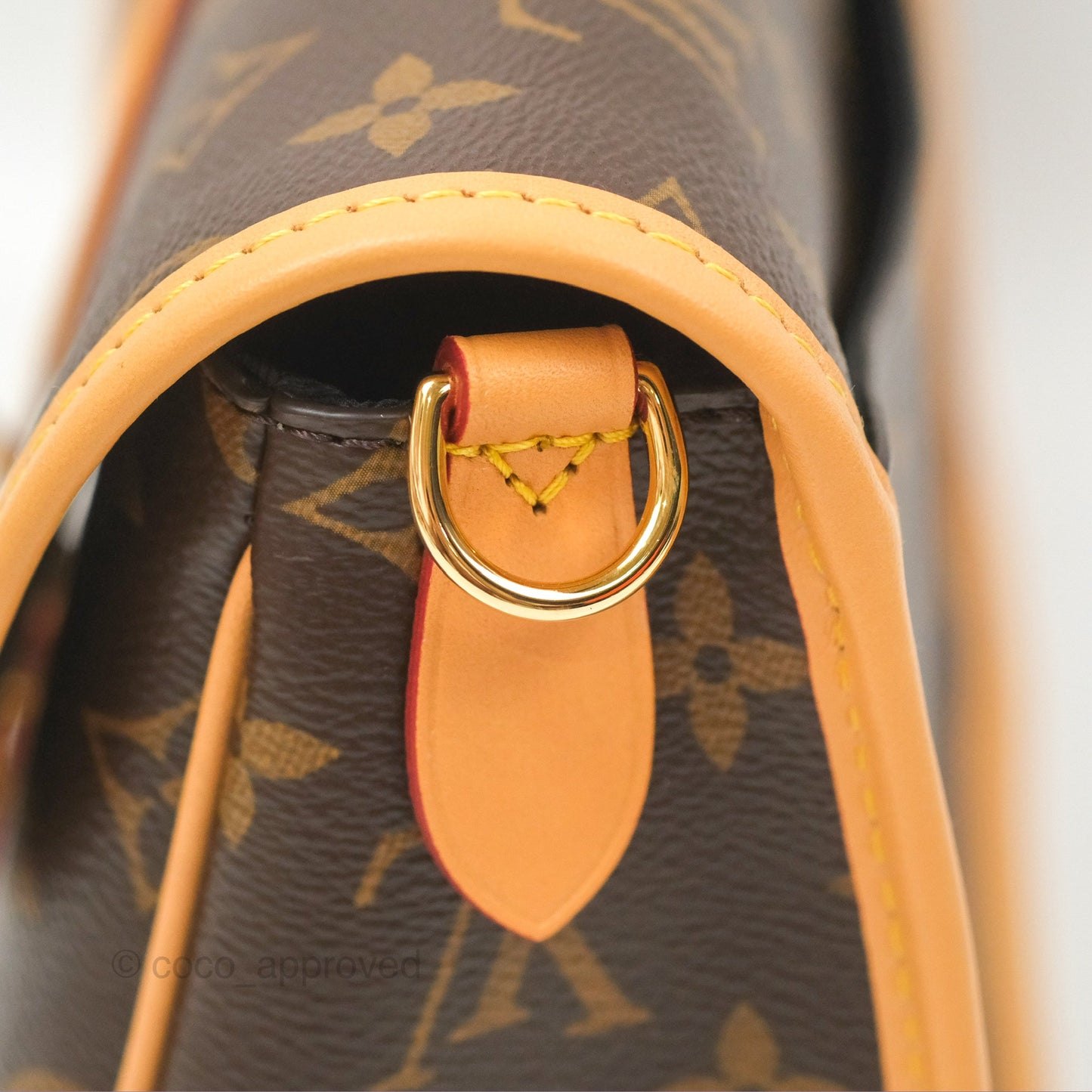 Louis Vuitton Diane Bag Monogram Canvas with Jacquard Strap
