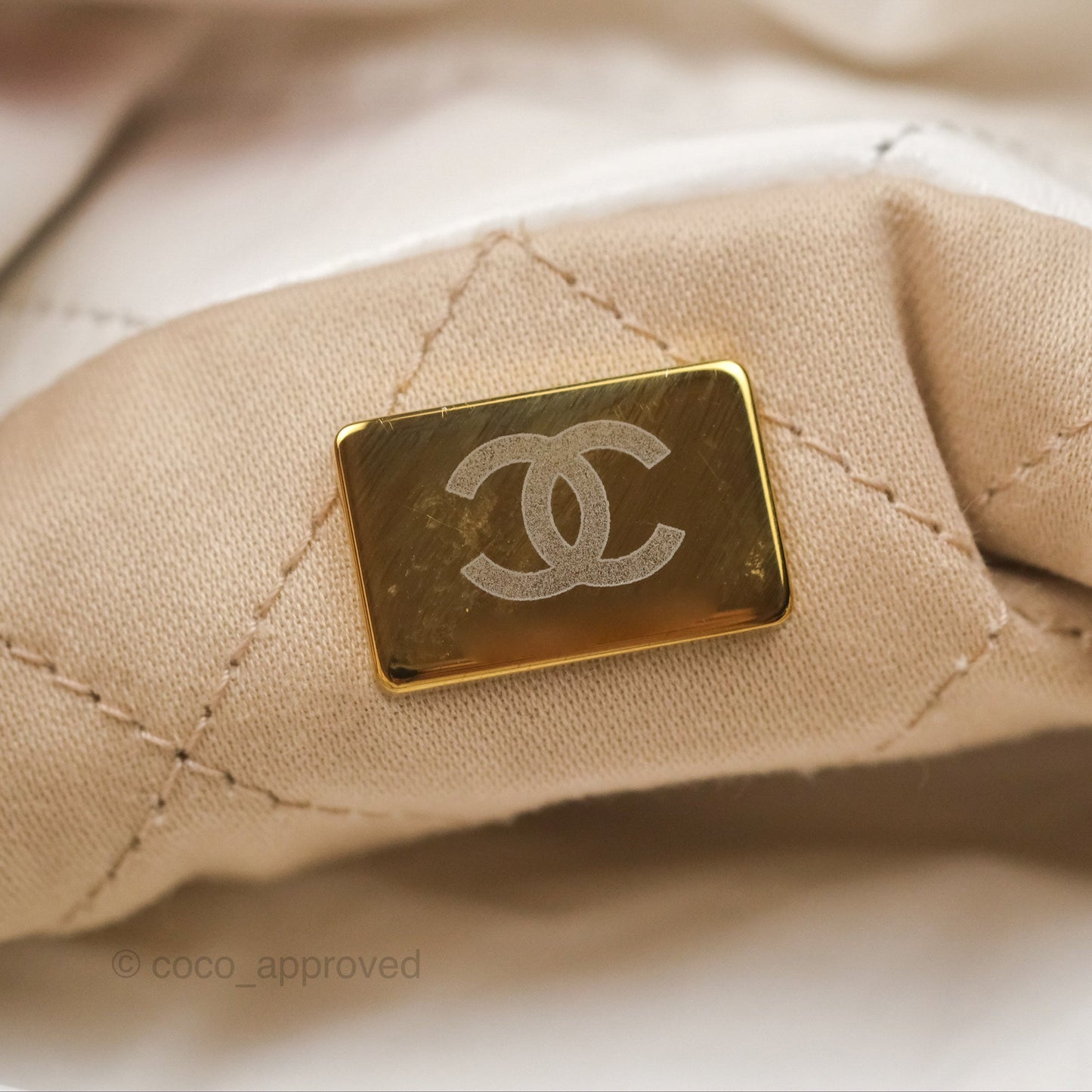 Chanel 22 Mini Bag White Crumpled Calfskin