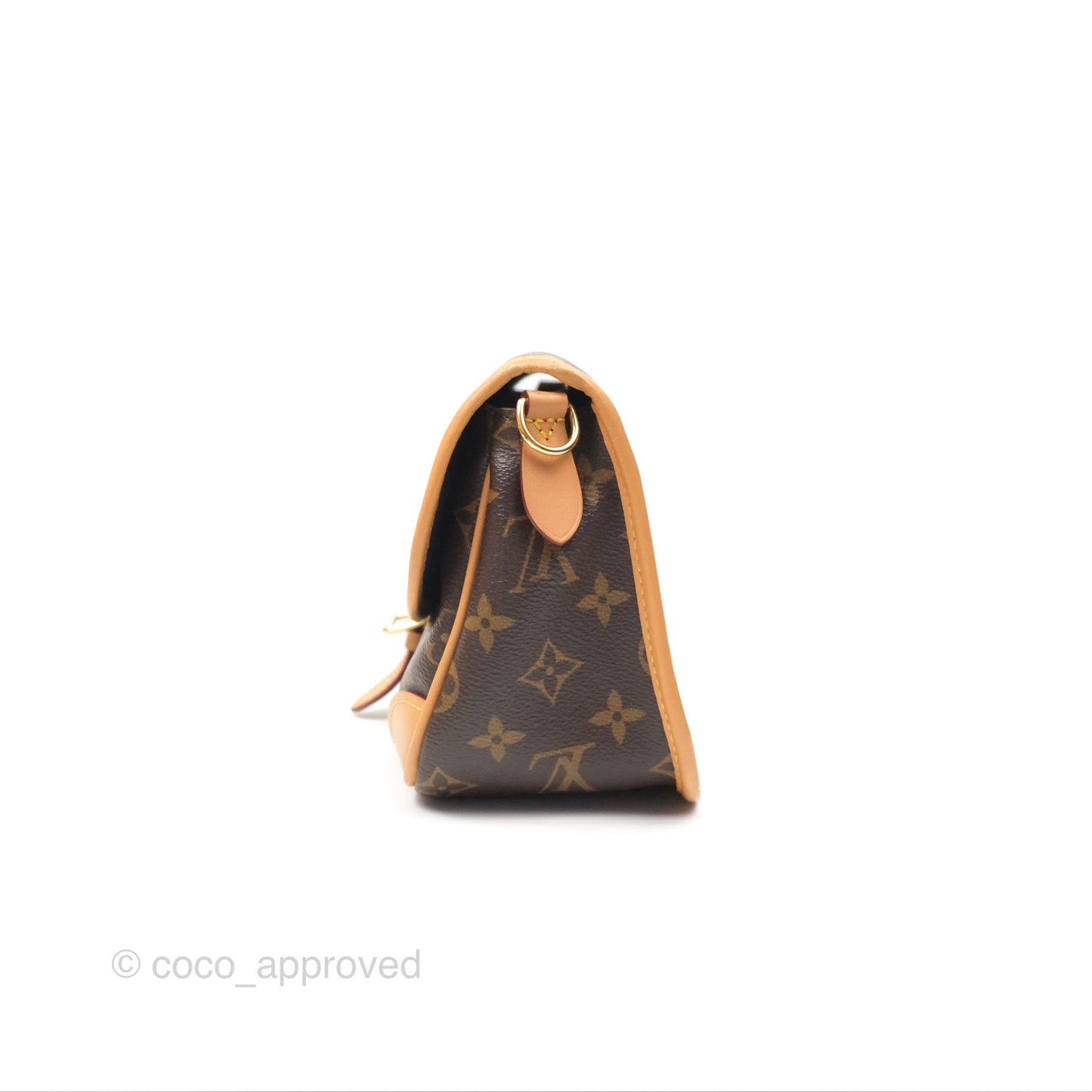 Louis Vuitton Diane Bag Monogram Canvas with Jacquard Strap