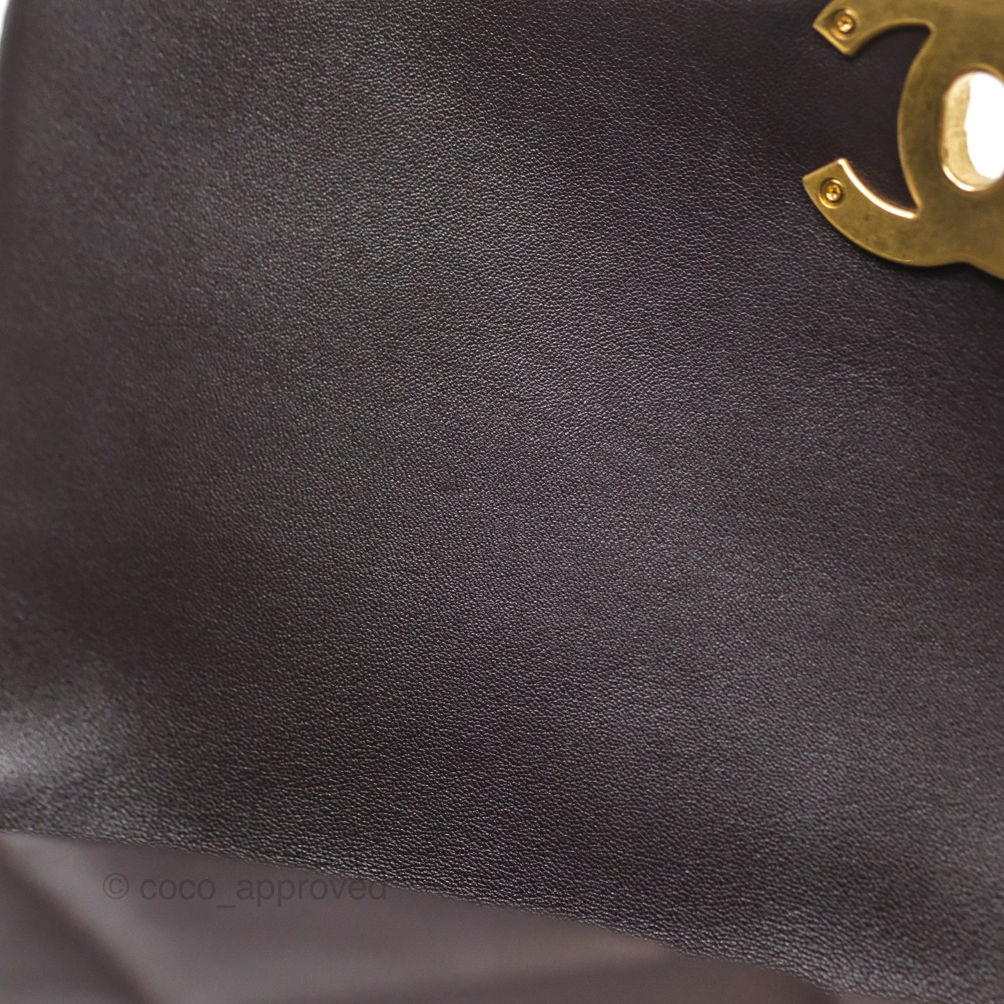 Chanel 19 Medium Dark Brown Mixed Hardware