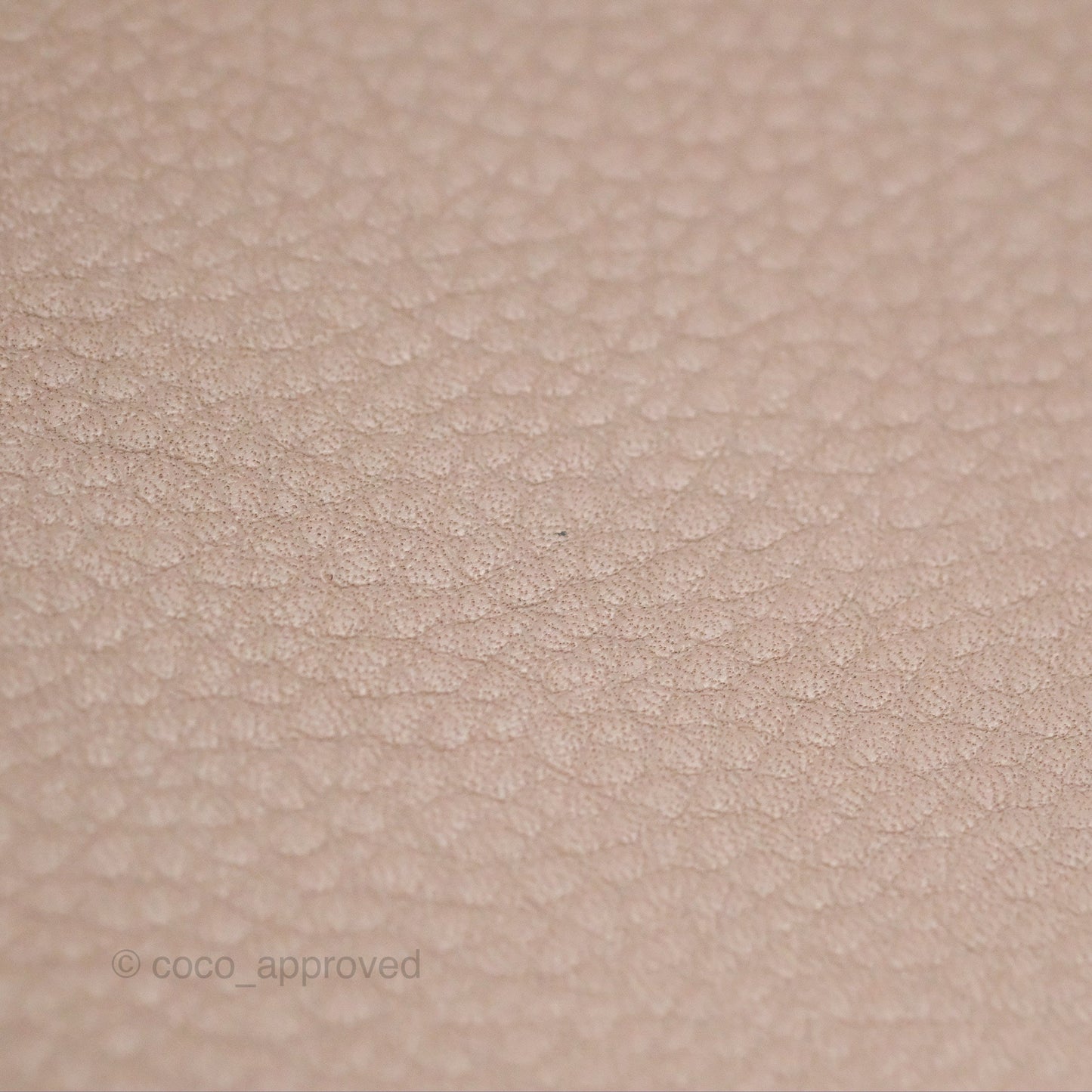 Moynat Réjane PM bag Tourterelle Grained Blush Leather Silver Hardware