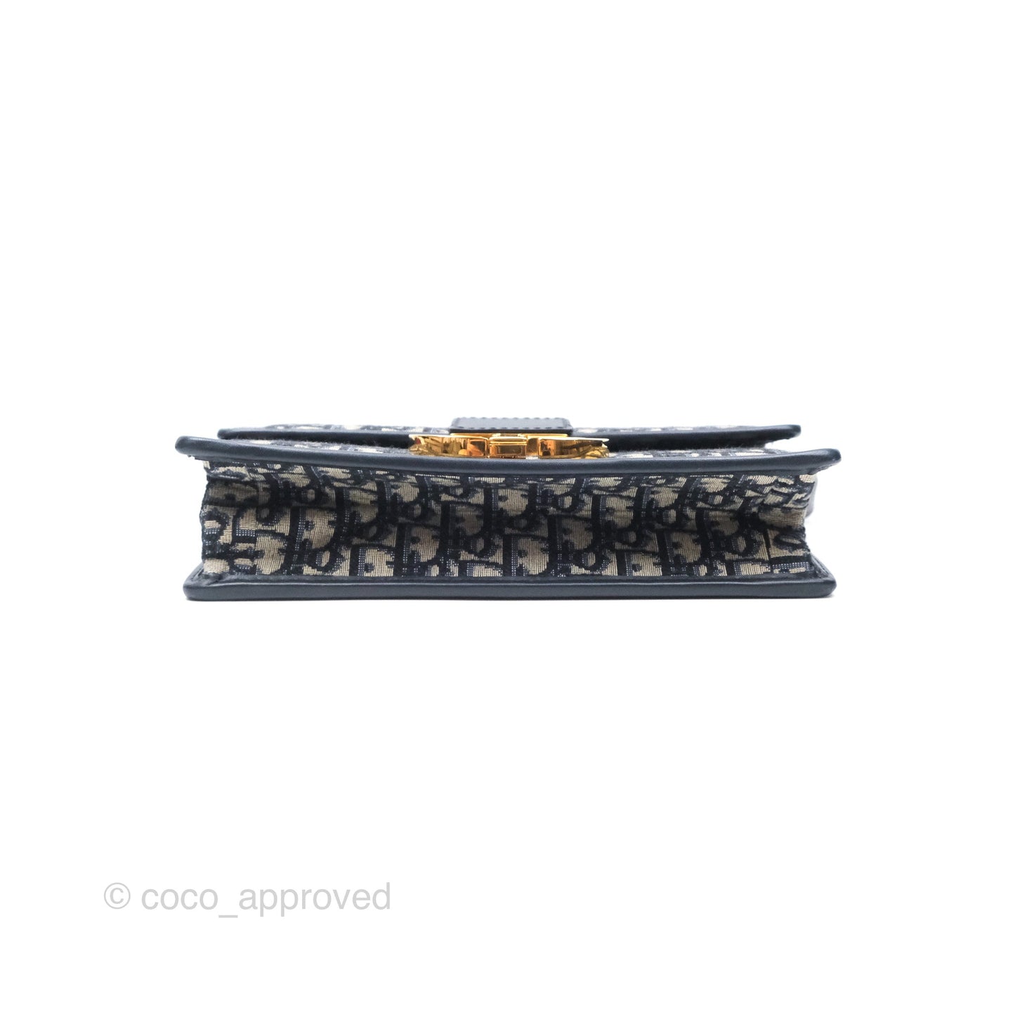 Christian Dior 30 Montaigne with Chain Blue Dior Oblique Jacquard