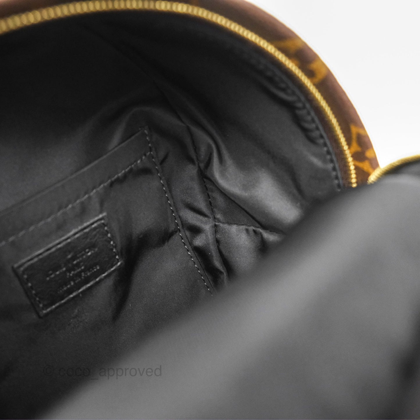Louis Vuitton Mini Palm Springs Backpack⁣ Monogram Canvas
