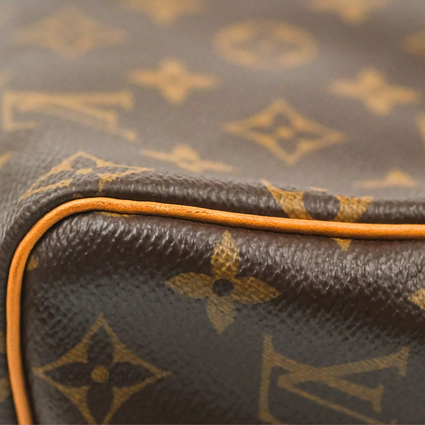 Louis Vuitton Speedy 25 Monogram Canvas