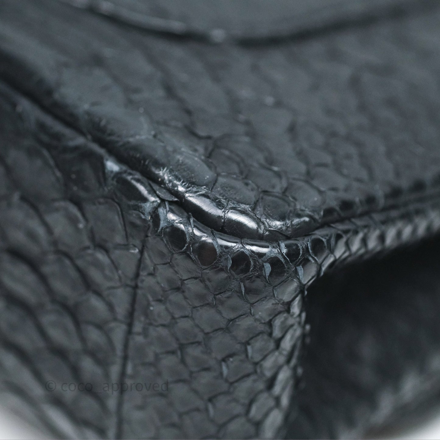Chanel Classic M/L Medium Flap So Black Python Black Hardware