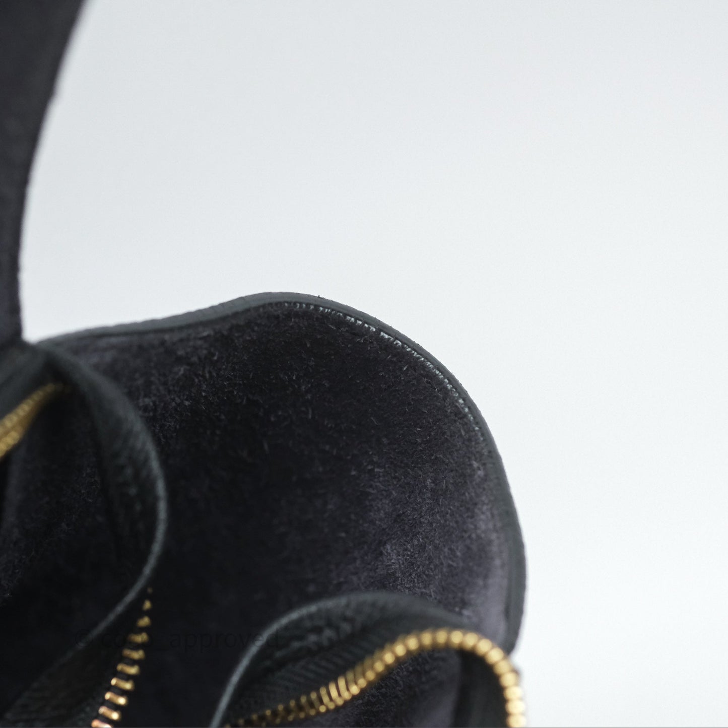Celine Micro Belt Bag Black Grained Calfskin Gold Hardware