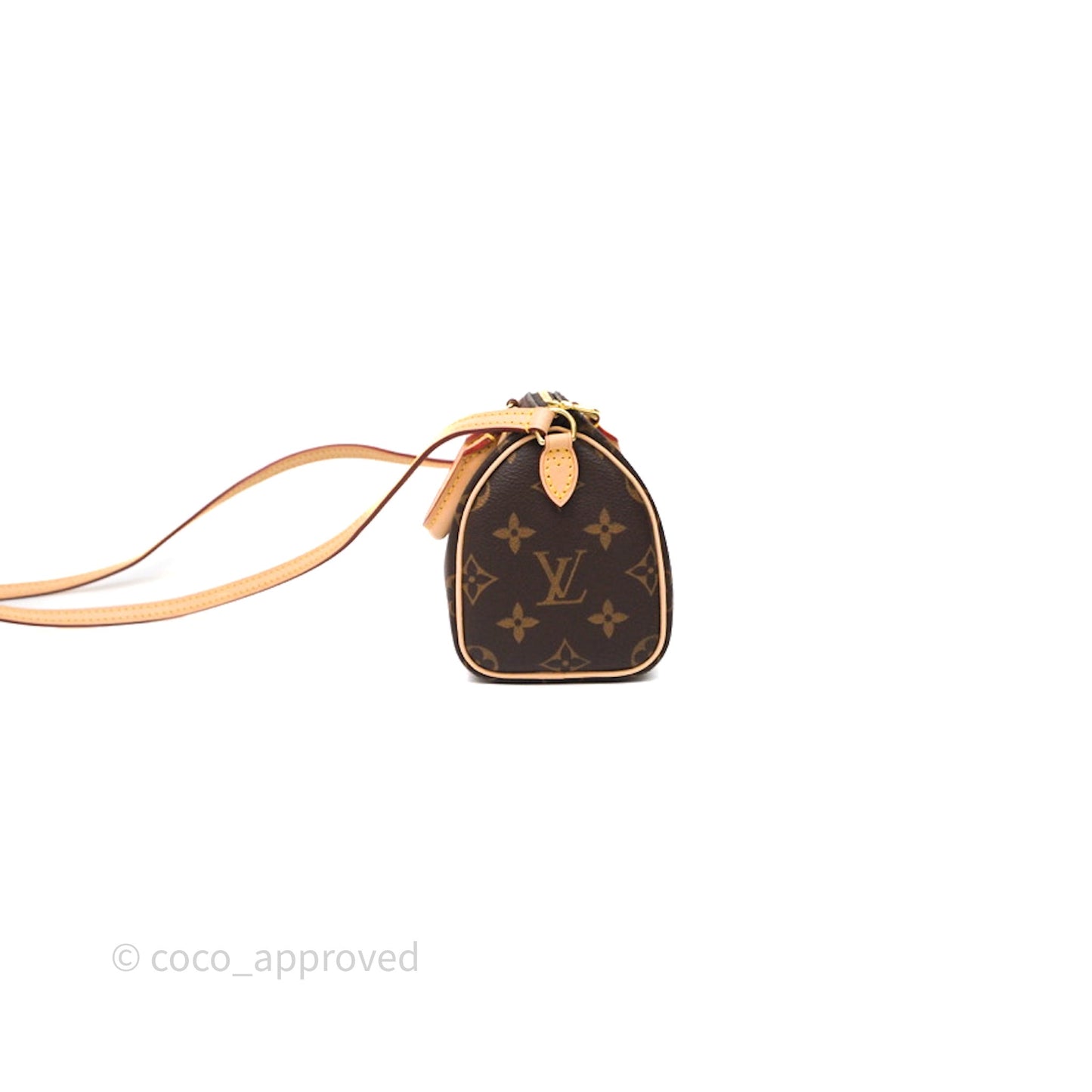 Louis Vuitton Nano Speedy Monogram Canvas