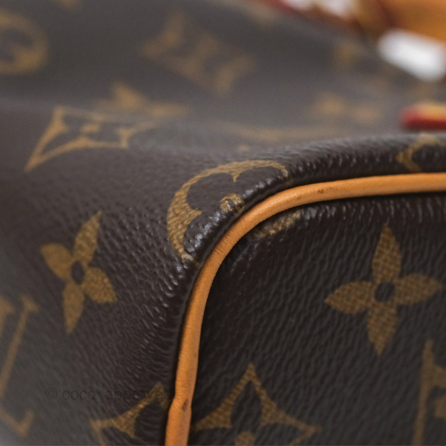 Louis Vuitton Nano Speedy Monogram