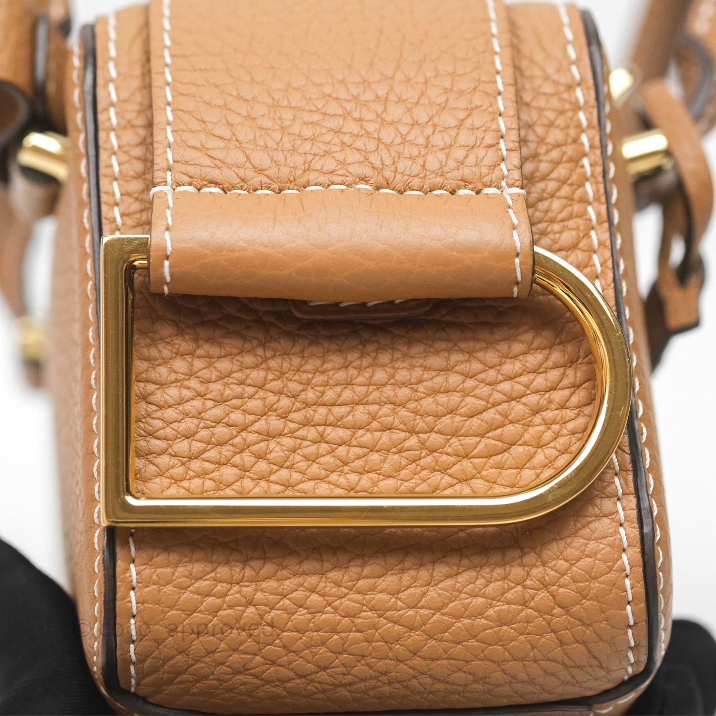 Delvaux Cool Box Nano Taurillon Soft Grained Calfskin Vegetal Ivory Gold Hardware