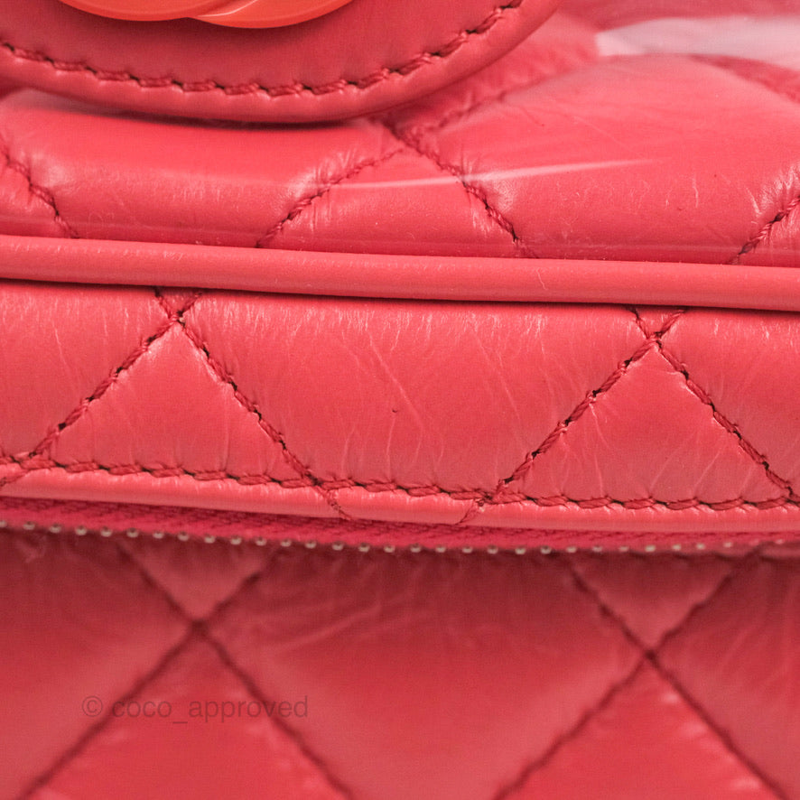 Chanel Aquarium PVC Coral Pink Crumpled Calfskin Silver Hardware