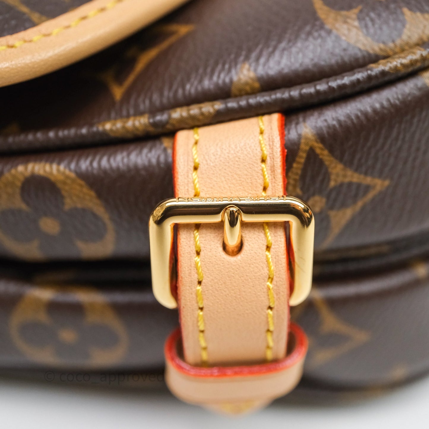 Louis Vuitton Saumur BB Monogram Bag Gold Hardware