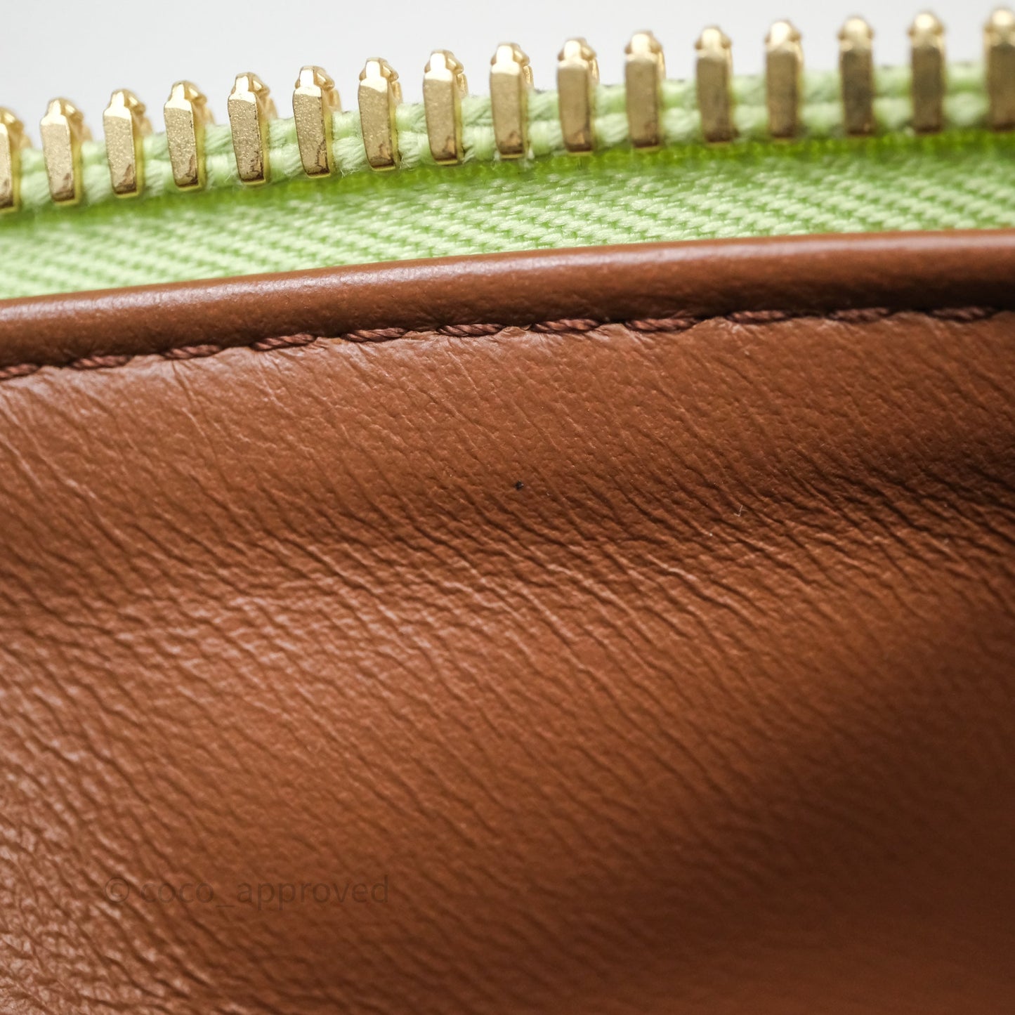 Louis Vuitton Speedy P9 Bandouliere 30 Vert Clair Bag