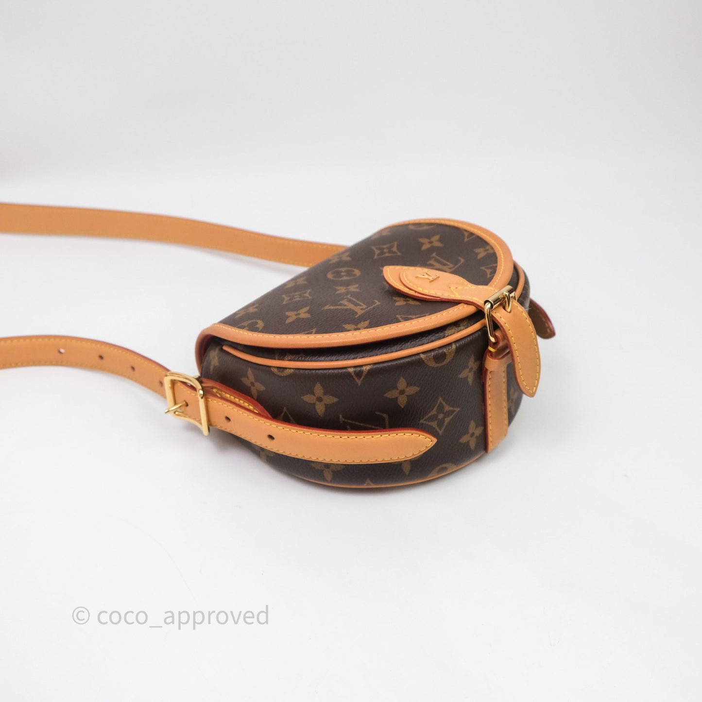Louis Vuitton Tambourin Monogram Canvas Bag