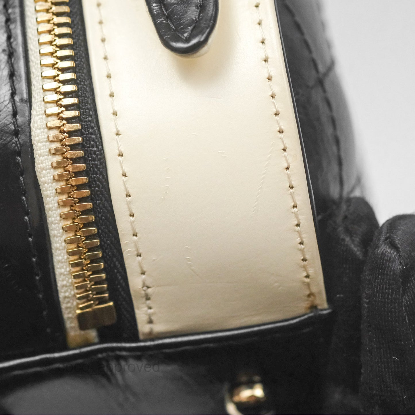 Chanel Camera Case Bag Black/White Calfskin Gold Hardware
