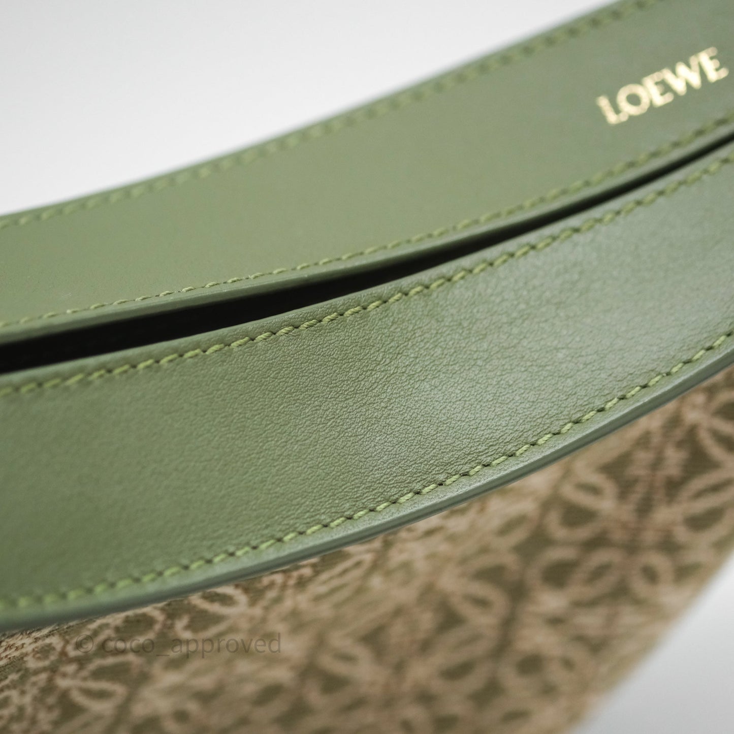 Loewe Small Luna Anagram Shoulder Bag Green Calfskin Jacquard