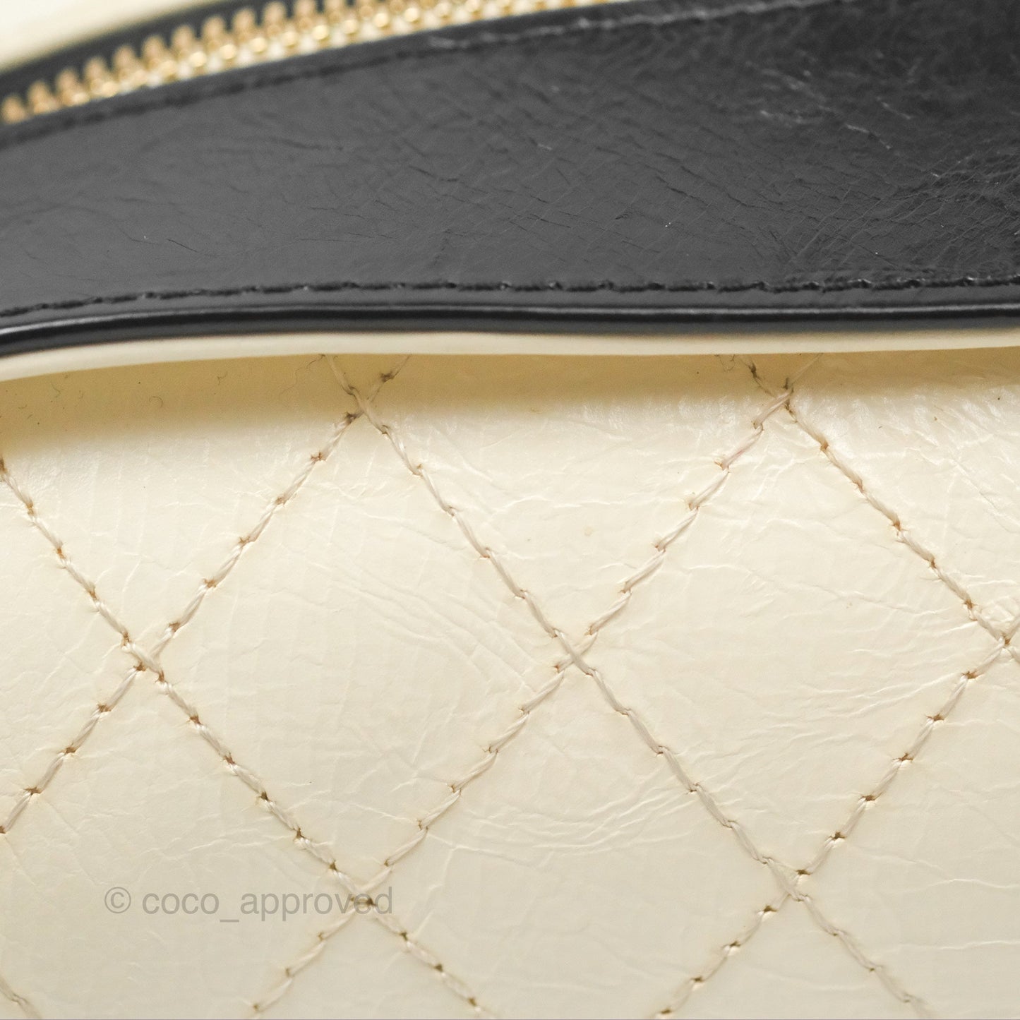 Chanel Camera Case Bag Black/White Calfskin Gold Hardware