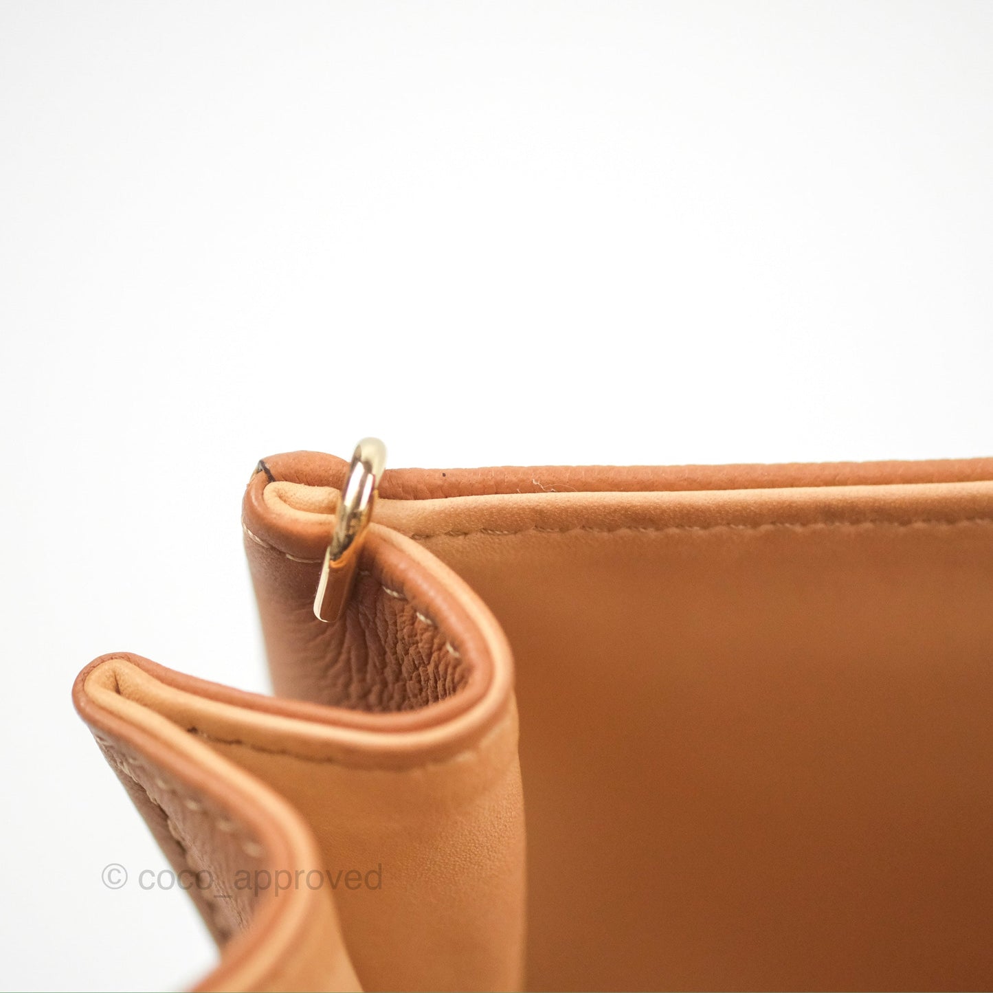 Delvaux Mini Brillant Bag Vegetal Rodeo Calf Gold Hardware