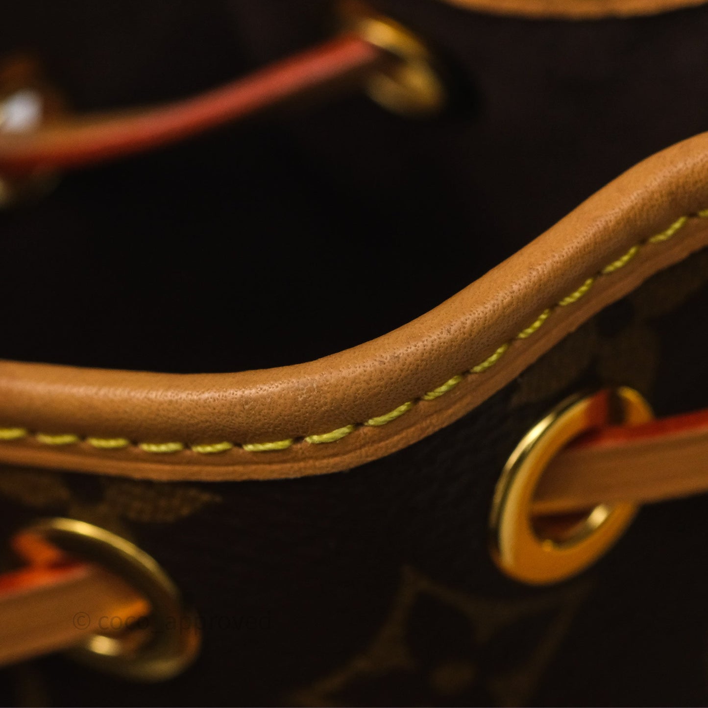 Louis Vuitton Nano Noe Monogram