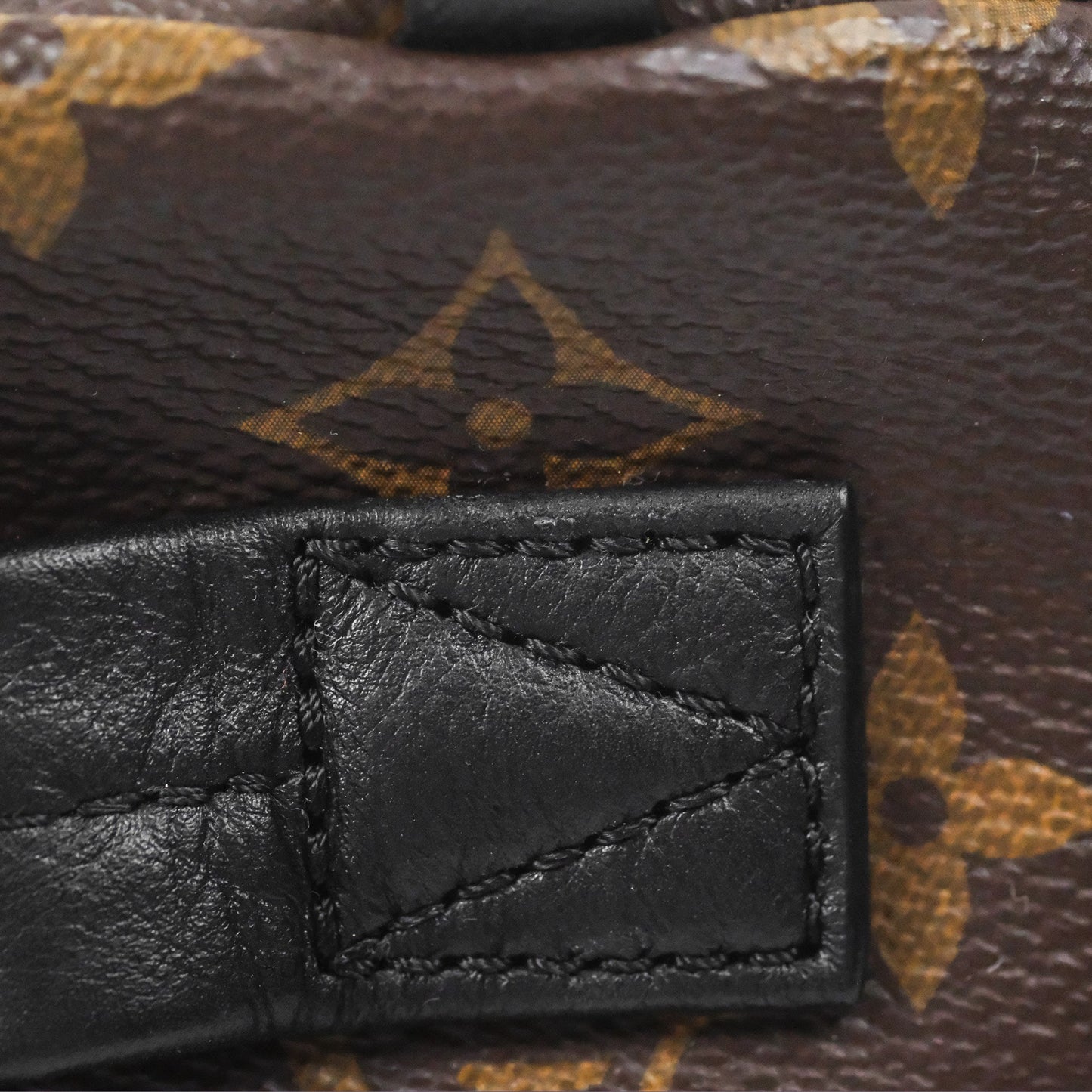 Louis Vuitton Monogram Mini Palm Springs Backpack⁣