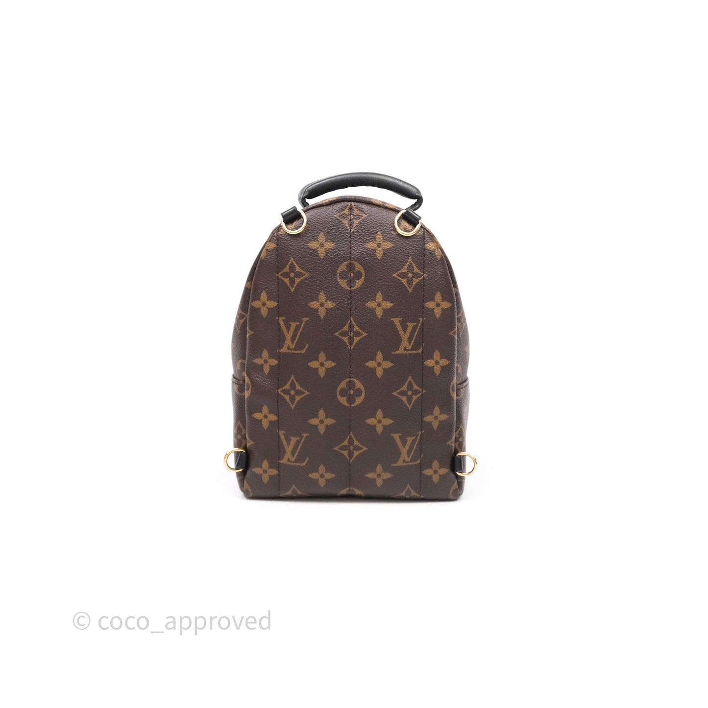 Louis Vuitton Mini Palm Springs Backpack⁣ Monogram