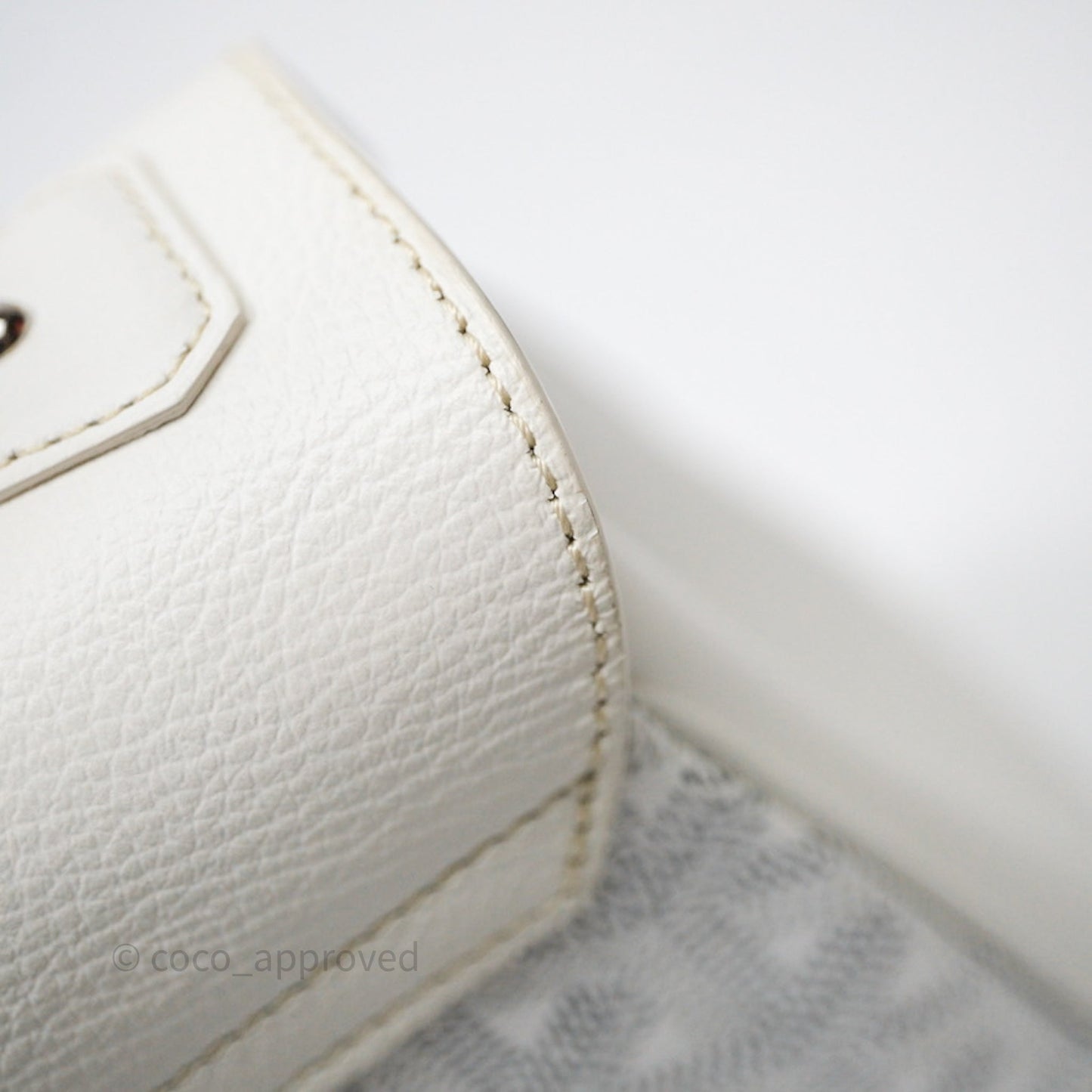 Goyard Saïgon Mini Bag Chevroches Calfskin White Silver Hardware