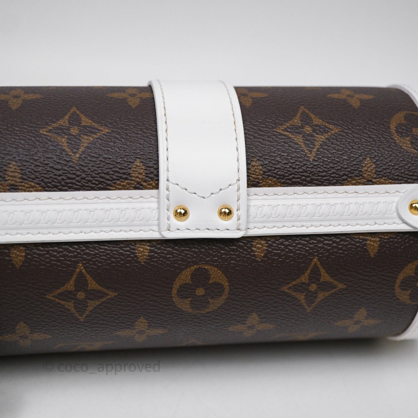Louis Vuitton Monogram Papillon Trunk Bag