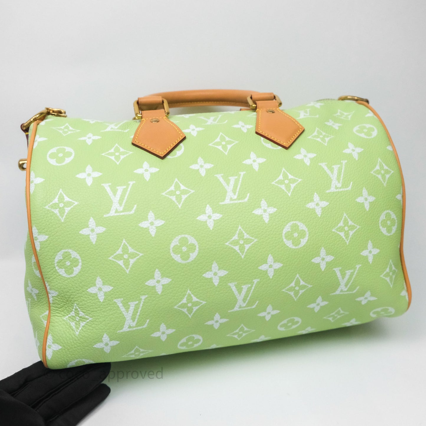 Louis Vuitton Speedy P9 Bandouliere 30 Vert Clair Bag