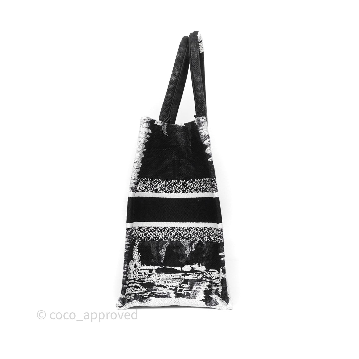 Dior Medium Book Tote Paris Embroidered Black White