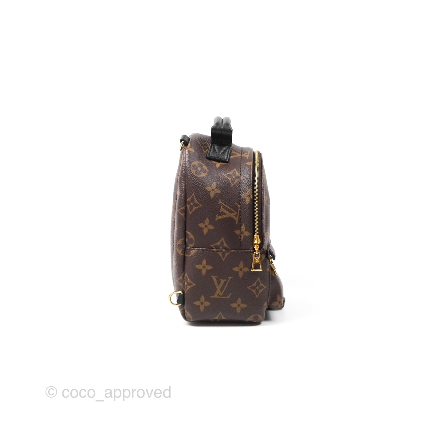Louis Vuitton Monogram Mini Palm Springs Backpack⁣