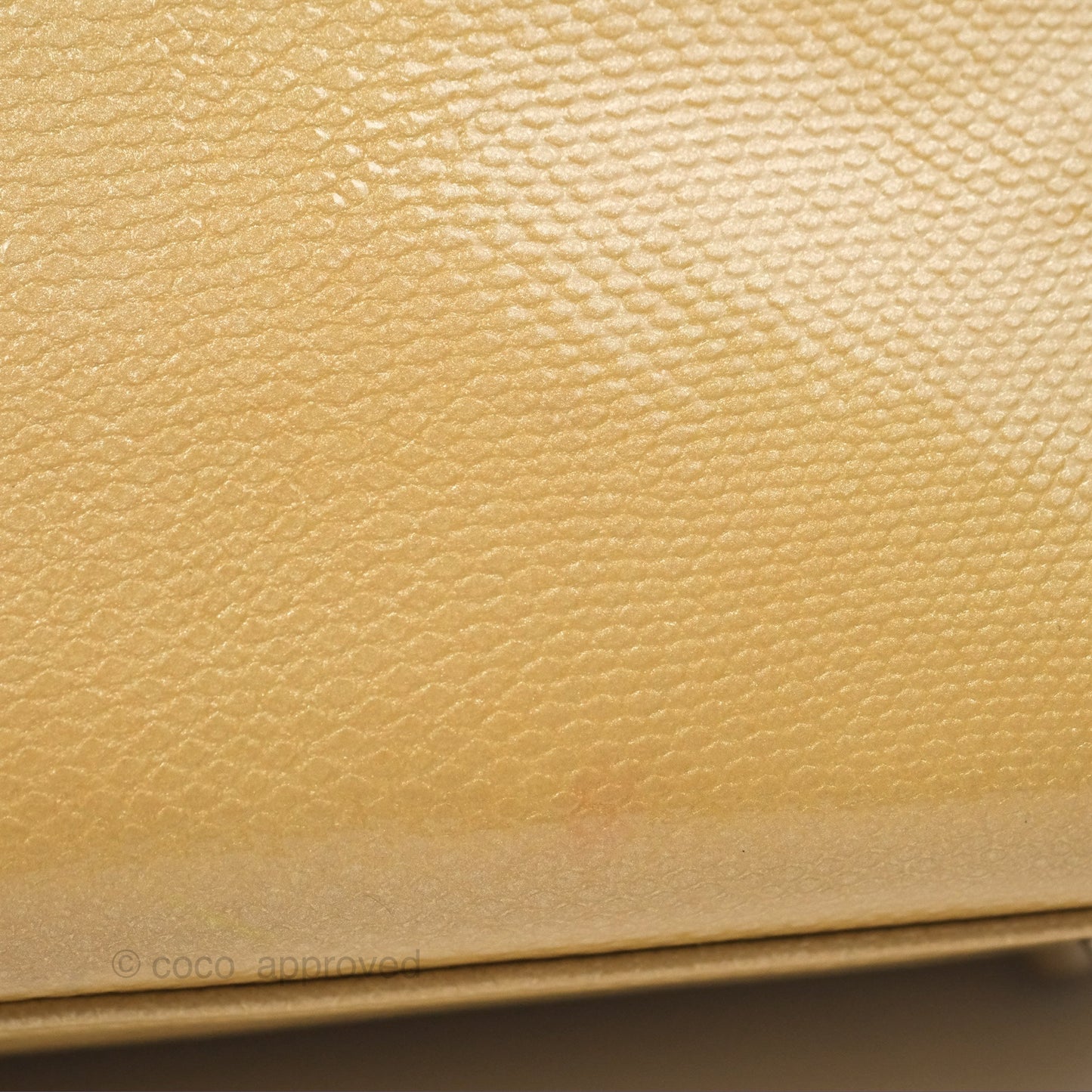 Christian Dior Mini Lady Dior Beige Lizard Gold Hardware