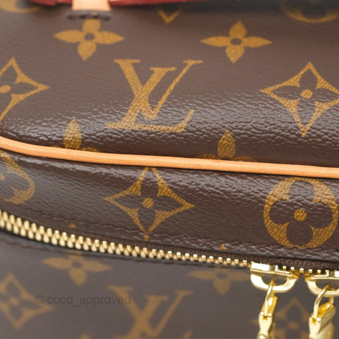 Louis Vuitton Monogram Nice Mini