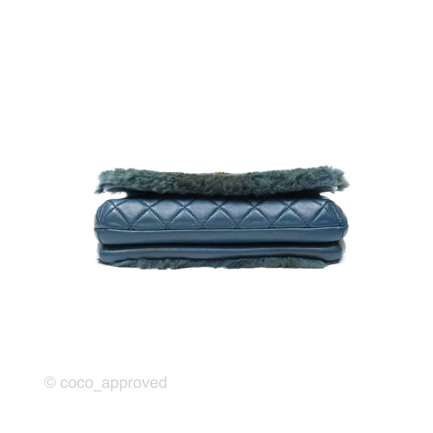 Chanel Top Handle Bag Green Blue Orylag Fur 17A
