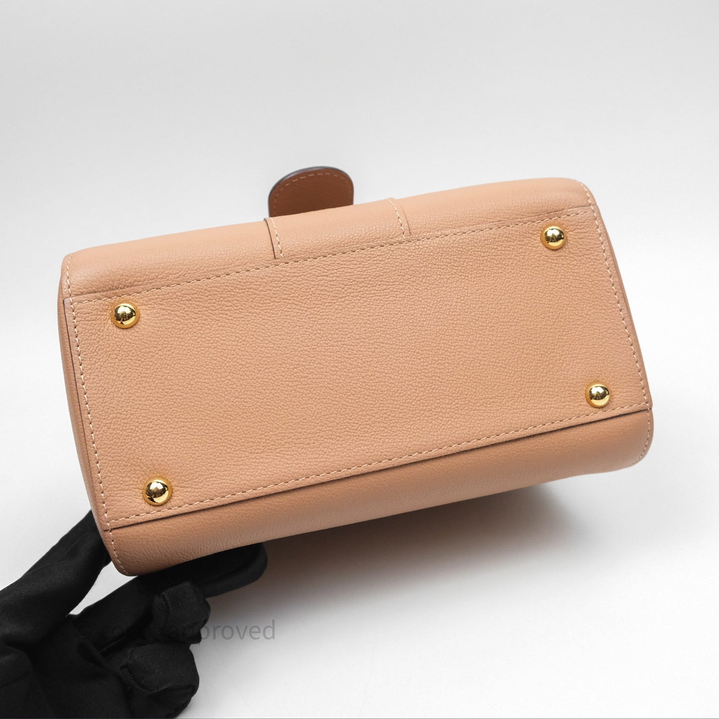 Delvaux Mini Brillant Bag Vison Grained Calfskin Gold Hardware with Twilly