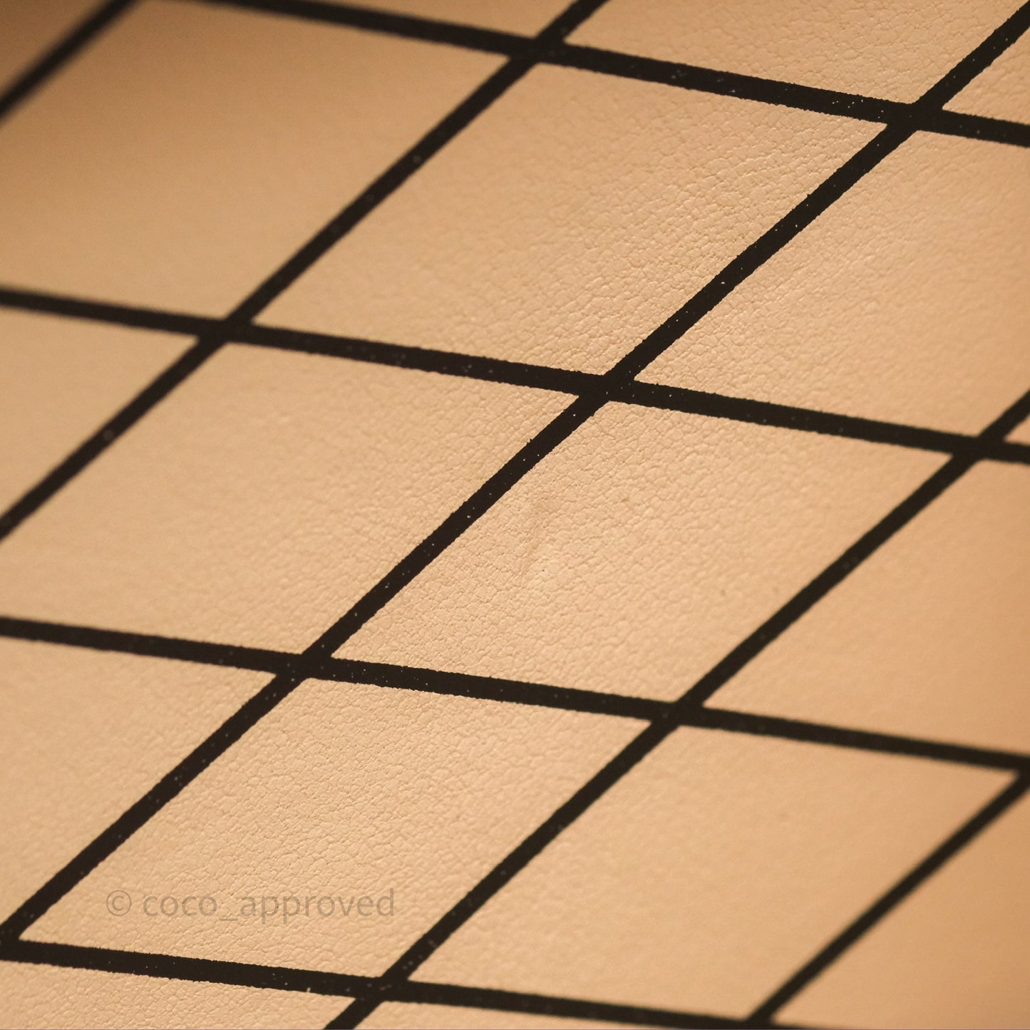 Louis Vuitton Monogram Petite Malle