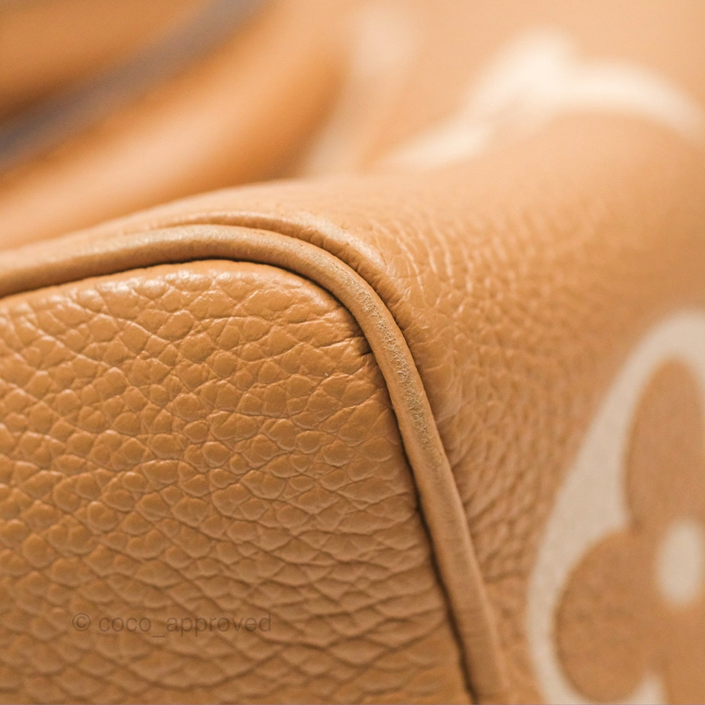Louis Vuitton Nano Speedy Monogram Arizona Creme