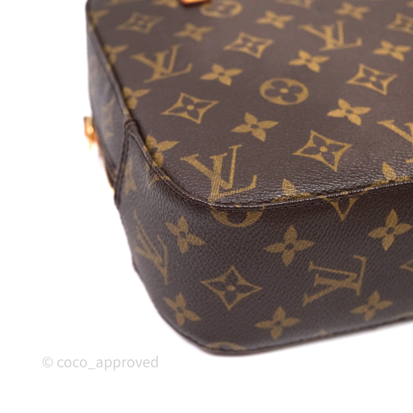 Louis Vuitton Monogram Spontini 2way Bag