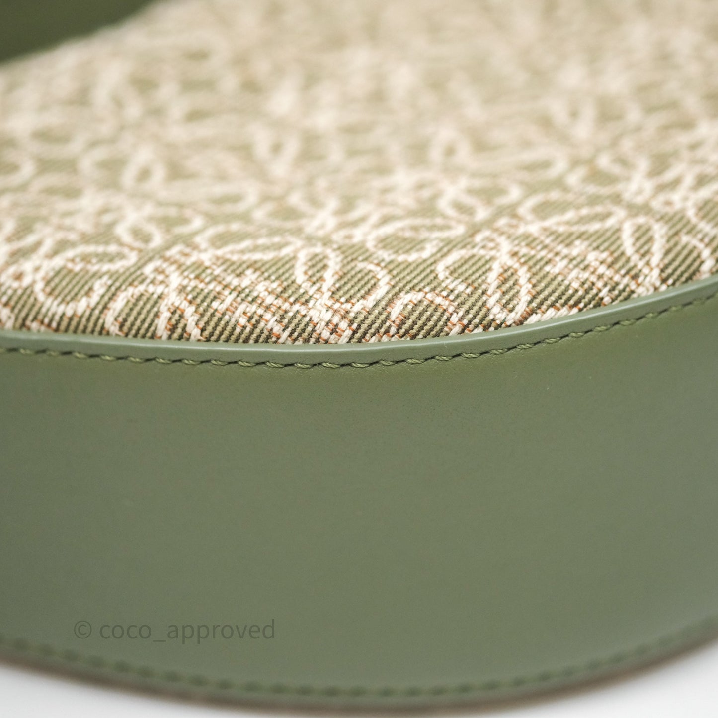 Loewe Small Luna Anagram Shoulder Bag Green Calfskin Jacquard