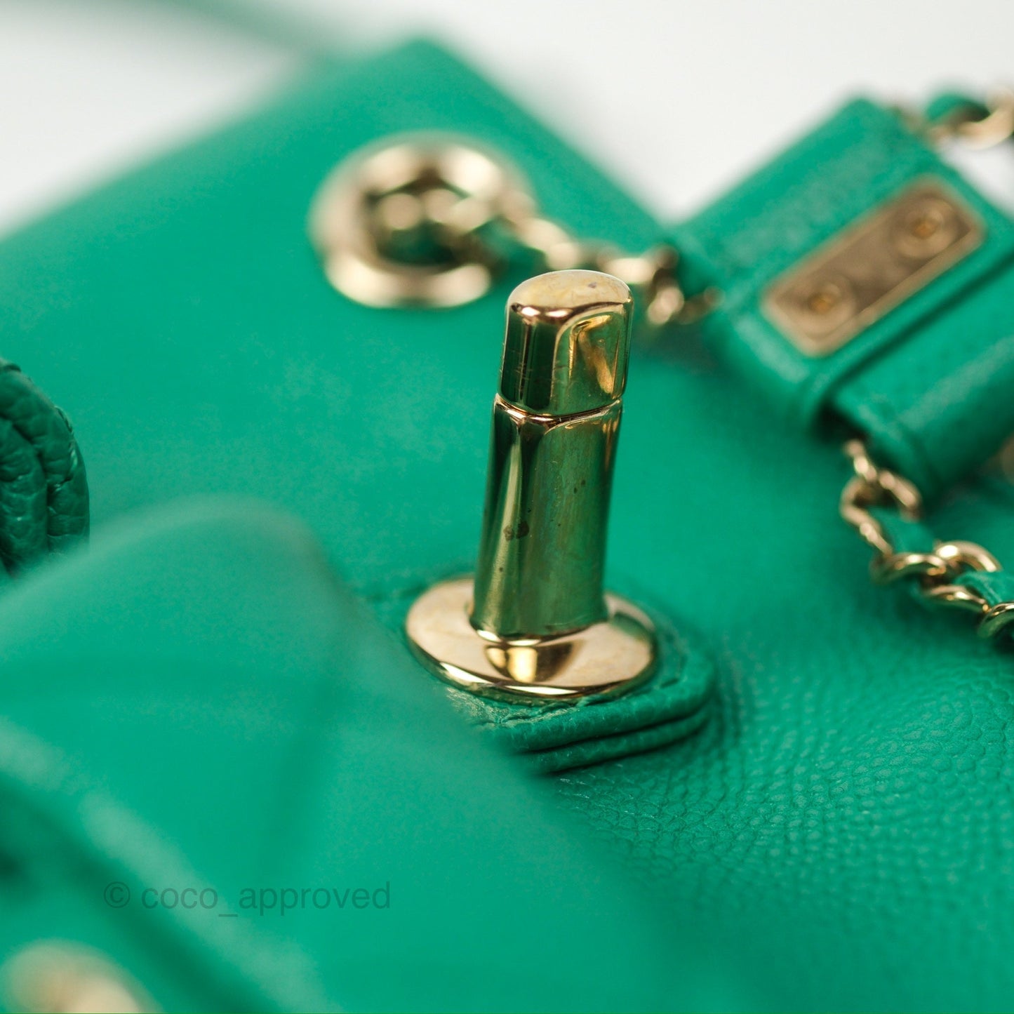 Chanel Duma Backpack Small Green Caviar Gold Hardware 23P