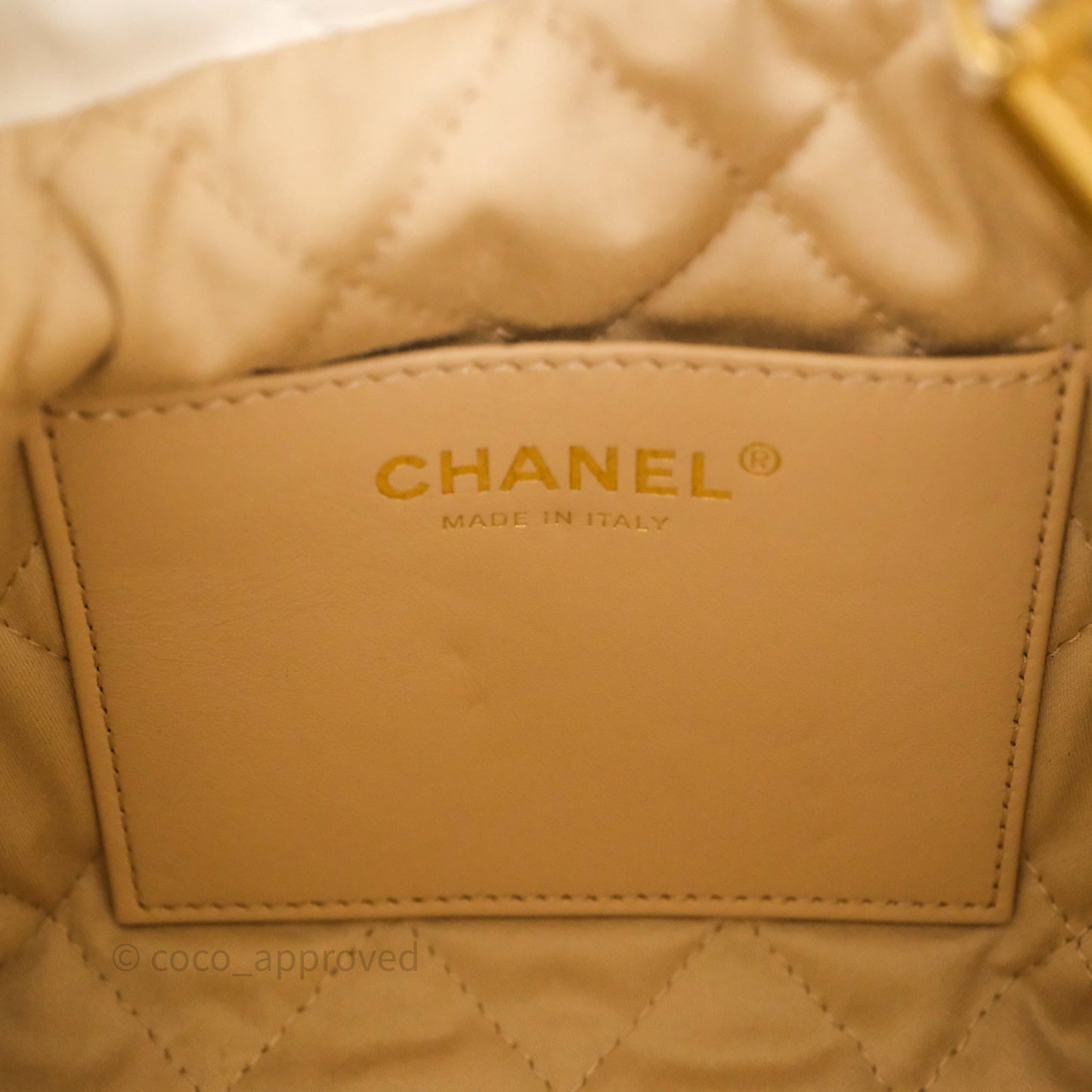 Chanel 22 Mini Bag White Calfskin Aged Gold Hardware