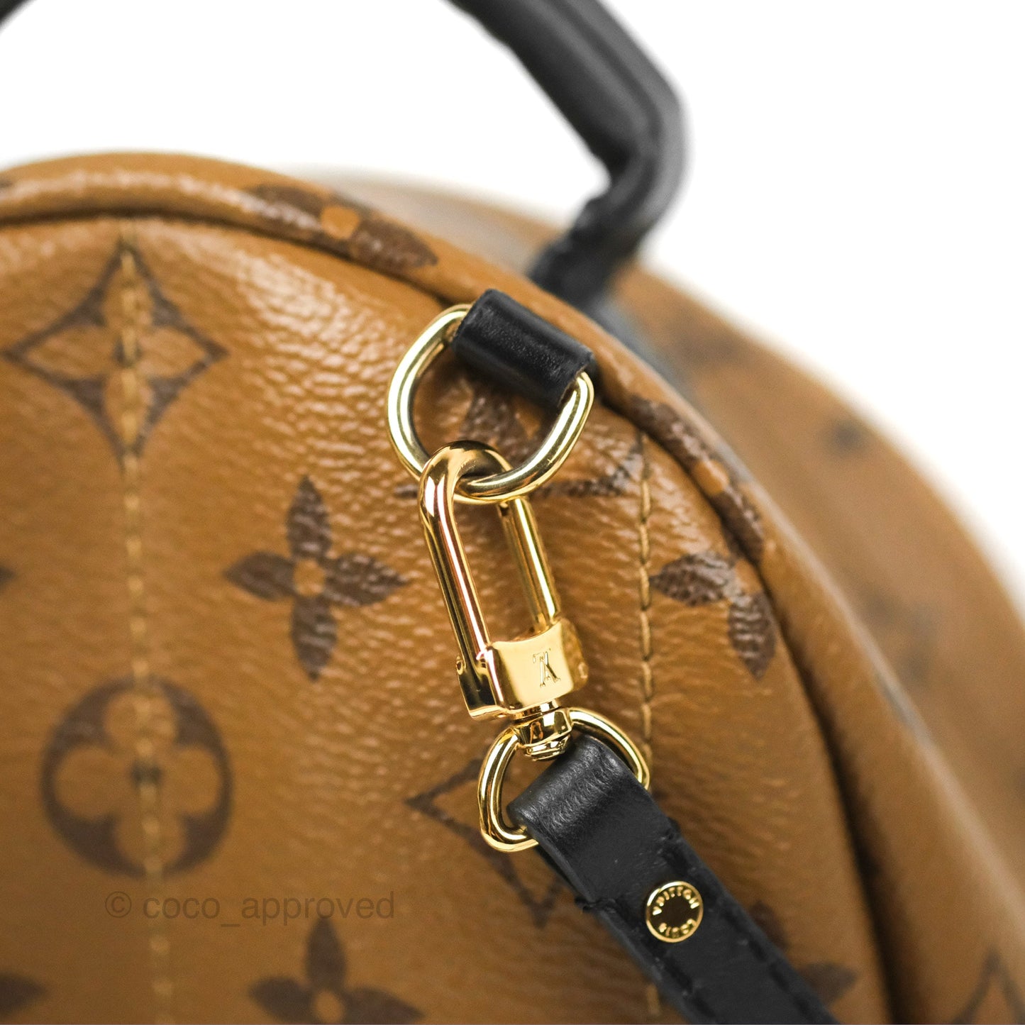 Louis Vuitton Reverse Mini Palm Springs Backpack⁣