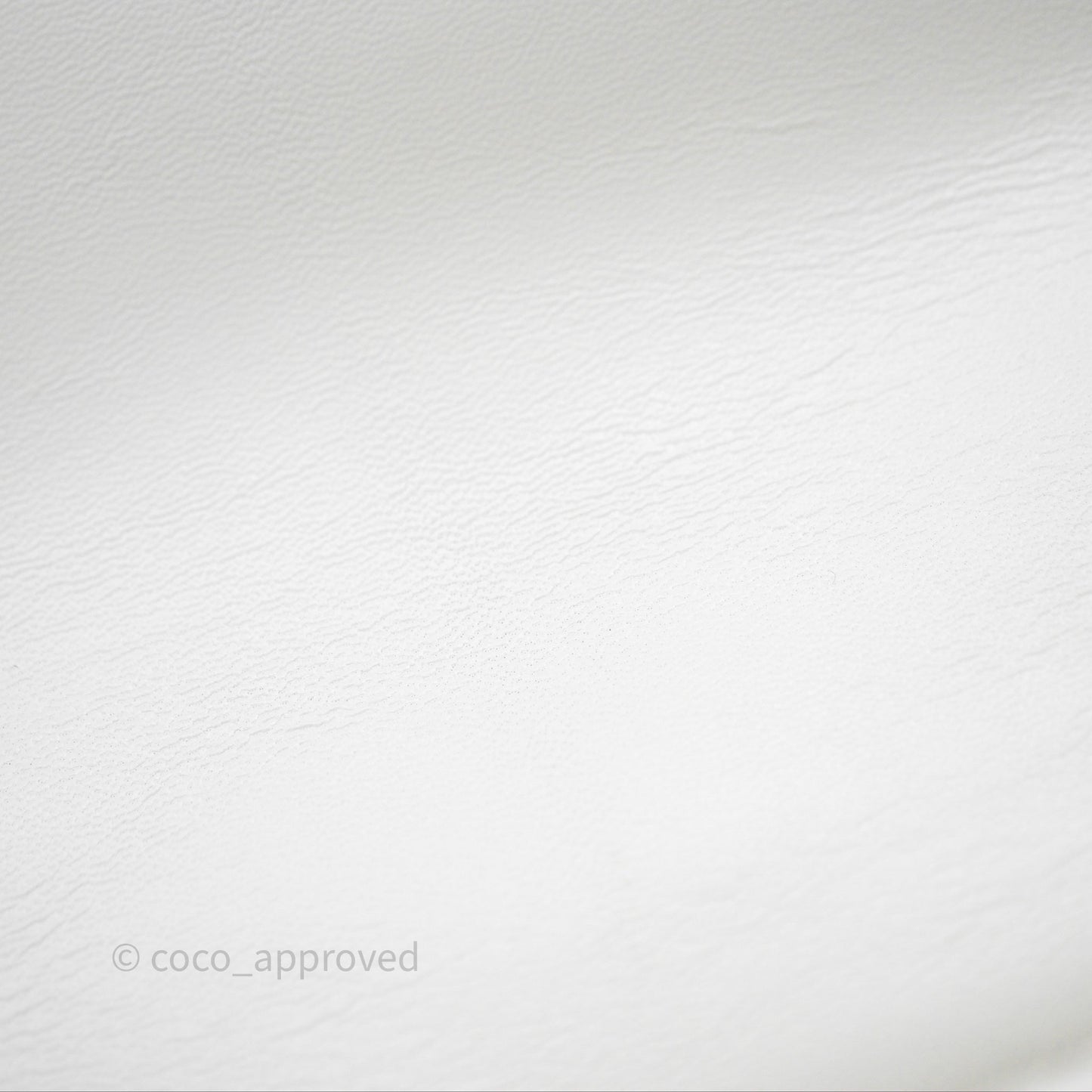Chanel 19 Small White Mixed Hardware