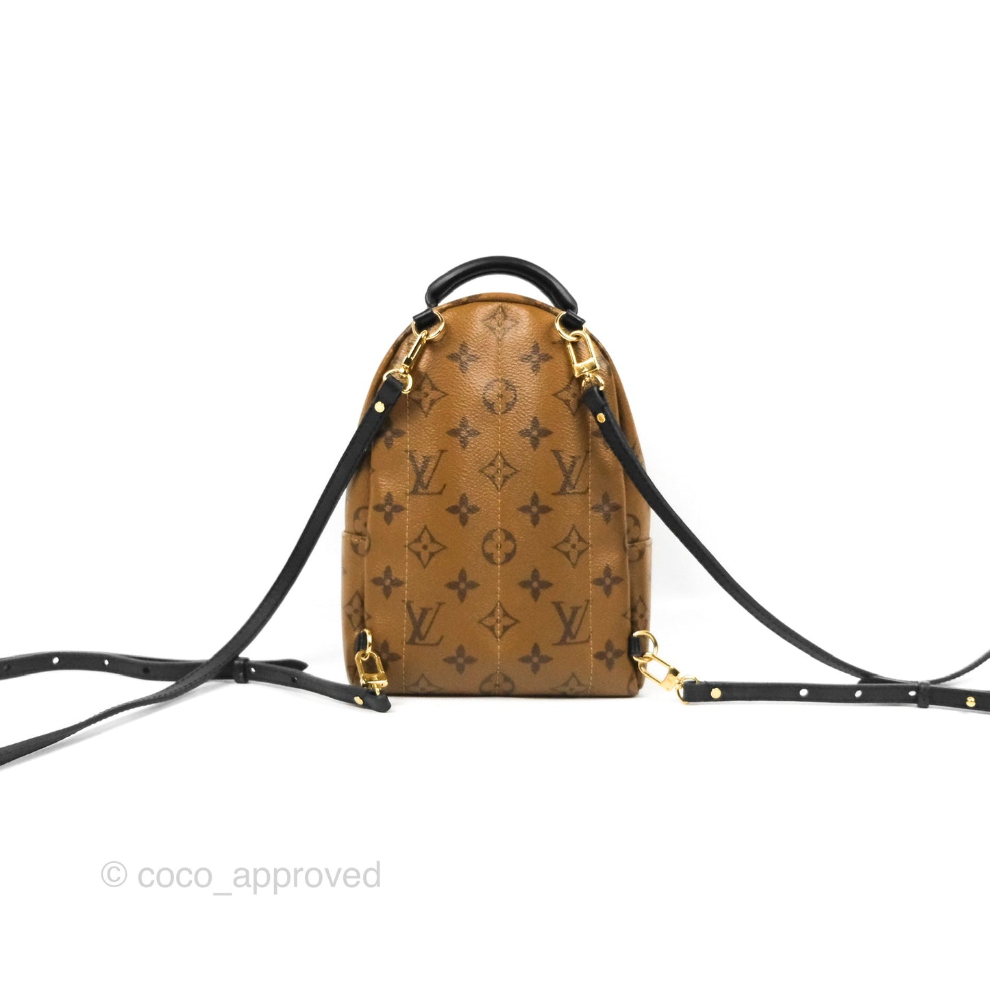 Louis Vuitton Reverse Mini Palm Springs Backpack⁣