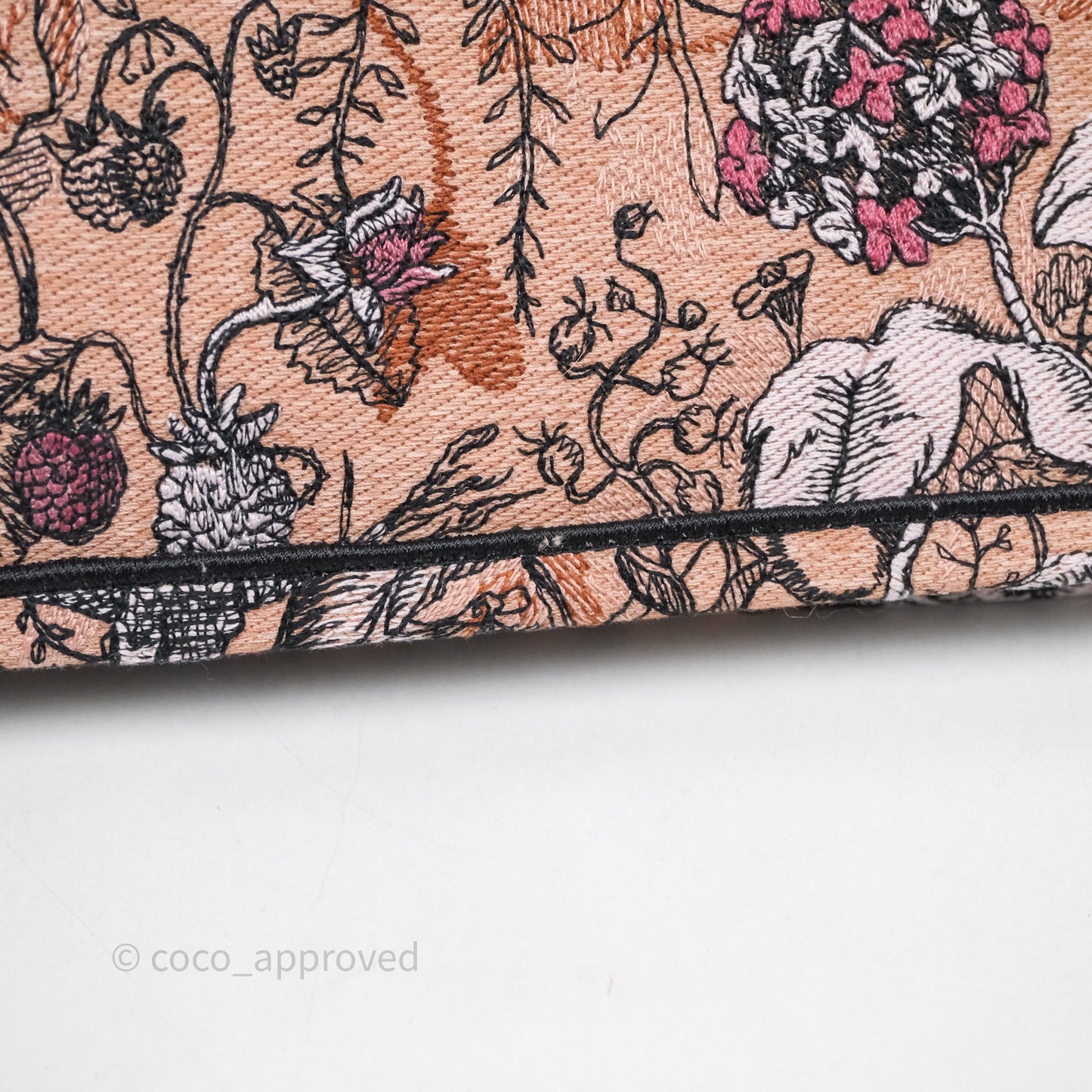 Christian Dior Medium Jardin Magique Book Tote Embroidered Power Pink Canvas