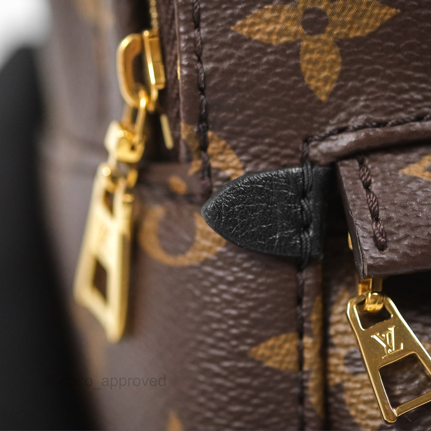 Louis Vuitton Monogram Mini Palm Springs Backpack⁣