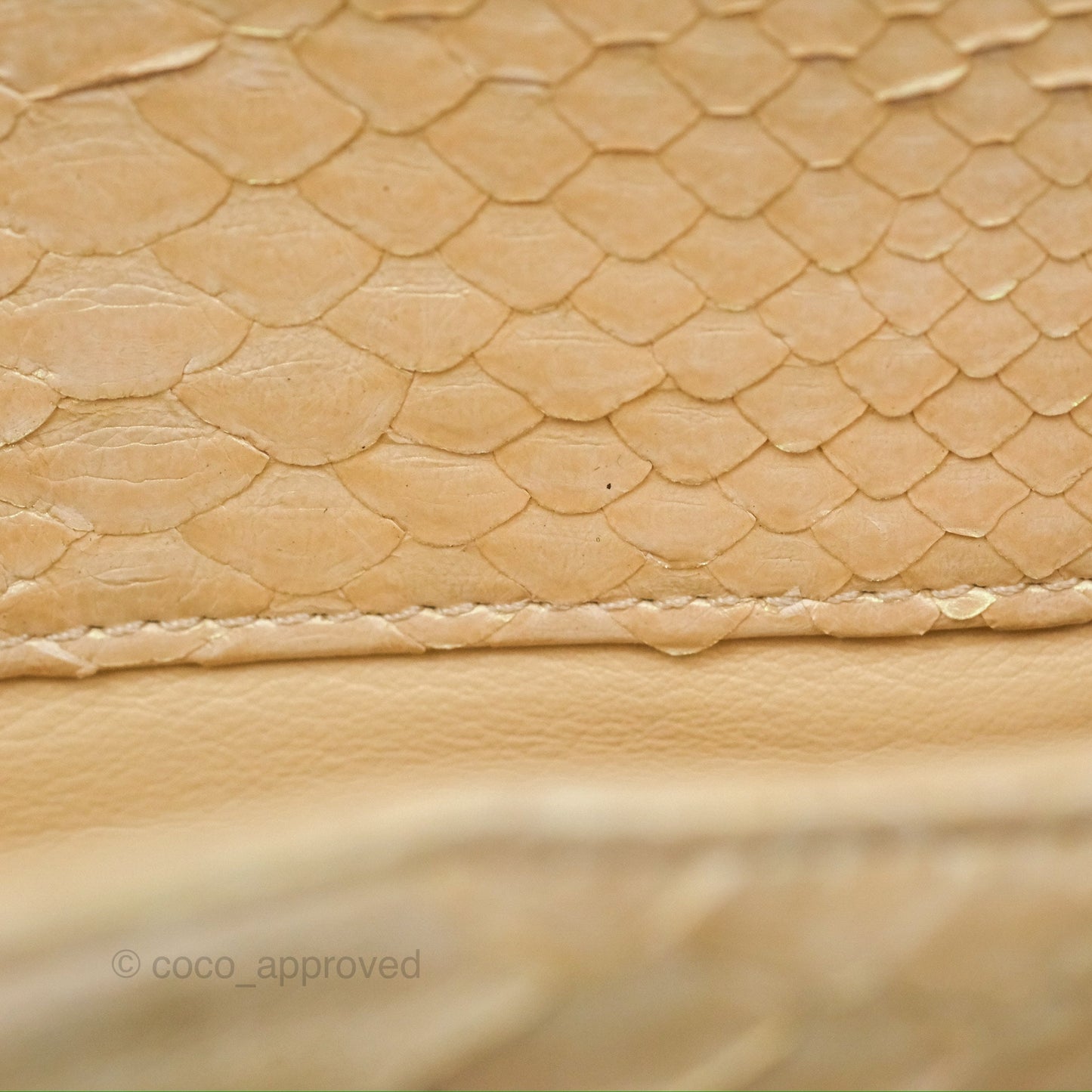 Chanel Jumbo Double Flap Iridescent Gold Python Gold Hardware⁣⁣