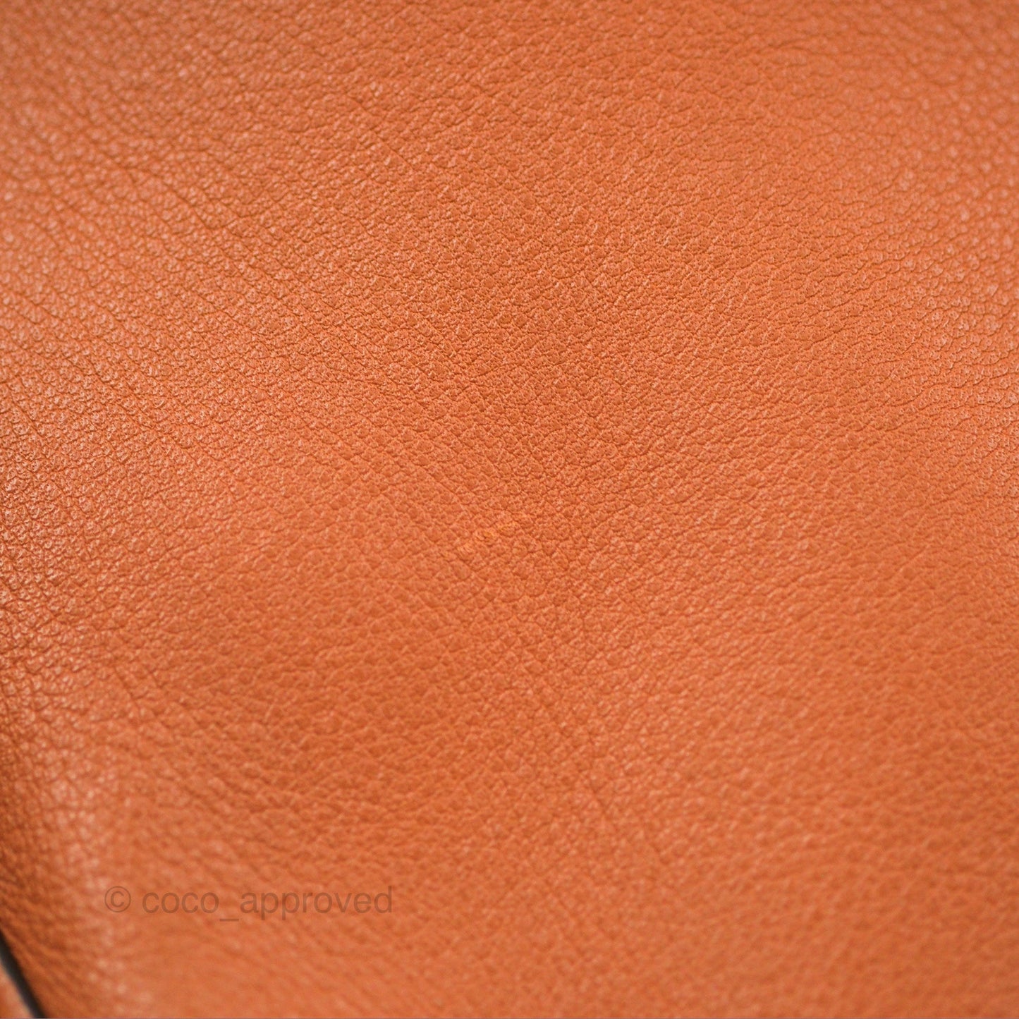 Loewe Large Fortune Hobo Tan Calfskin